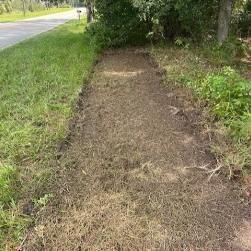 A property that has had a strip of land cleared for a sidewalk.