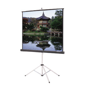 Tripod Screen