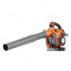 Handheld Blower