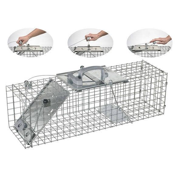 Animal trap